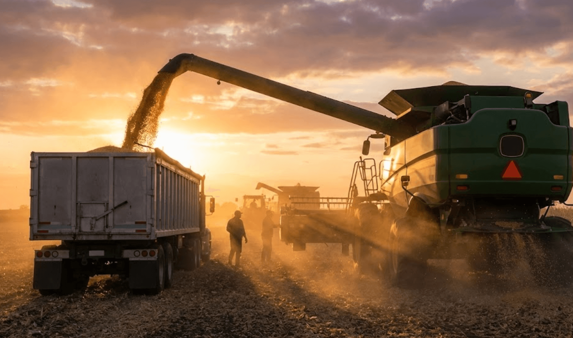 Programmatic Liquidity